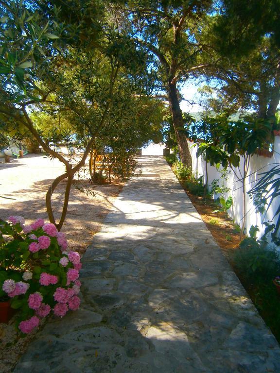Hotel Bed & Breakfast Pansion Rade Pirovac Exterior foto